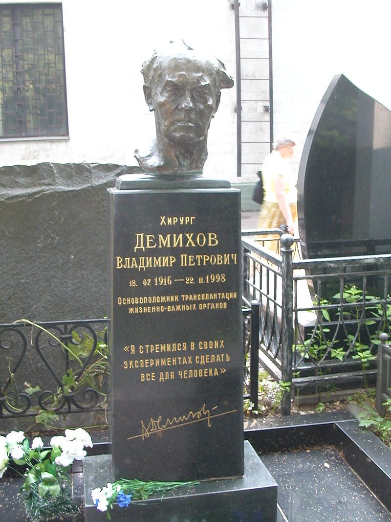 Vladimir Petrovich Demikhov grave (1).jpg